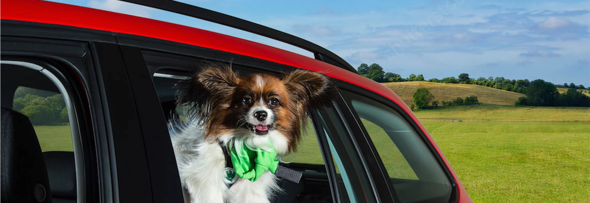 Best cars for dogs 2018